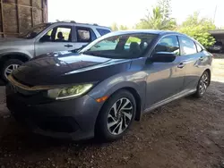 Salvage cars for sale from Copart Kapolei, HI: 2016 Honda Civic EX