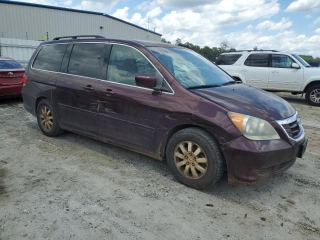 2009 Honda Odyssey EXL