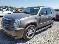 Salvage cars for sale at Columbus, OH auction: 2013 Cadillac Escalade Platinum