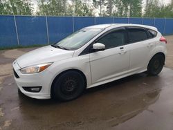 Salvage cars for sale at Moncton, NB auction: 2016 Ford Focus SE