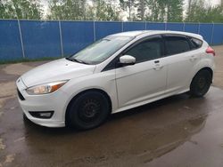 Ford salvage cars for sale: 2016 Ford Focus SE