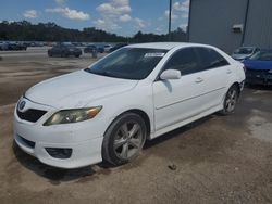 Salvage cars for sale at Apopka, FL auction: 2010 Toyota Camry Base