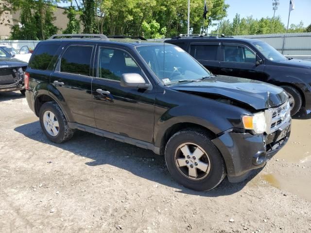 2010 Ford Escape XLT