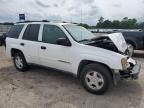 2002 Chevrolet Trailblazer