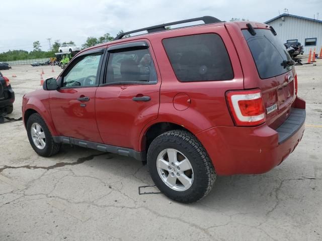 2010 Ford Escape XLT