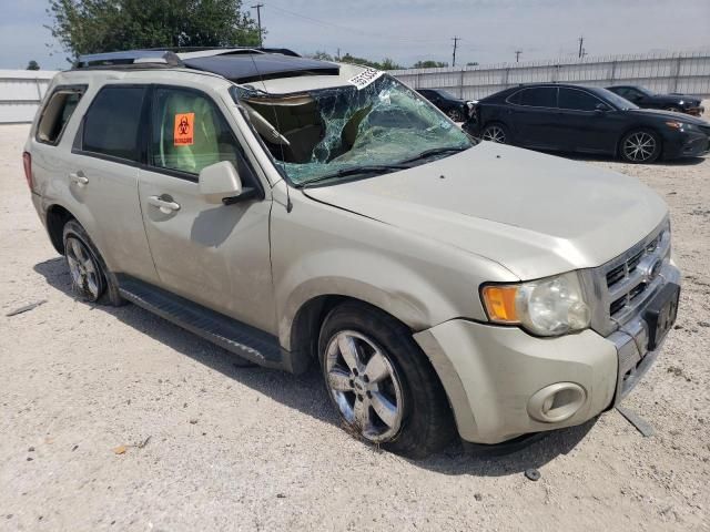 2009 Ford Escape Limited