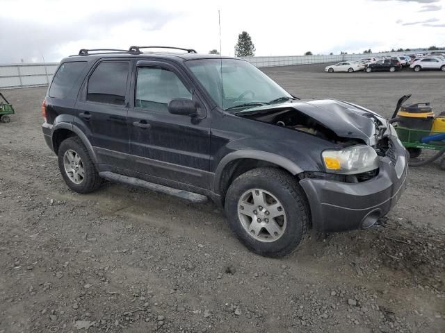 2005 Ford Escape XLT