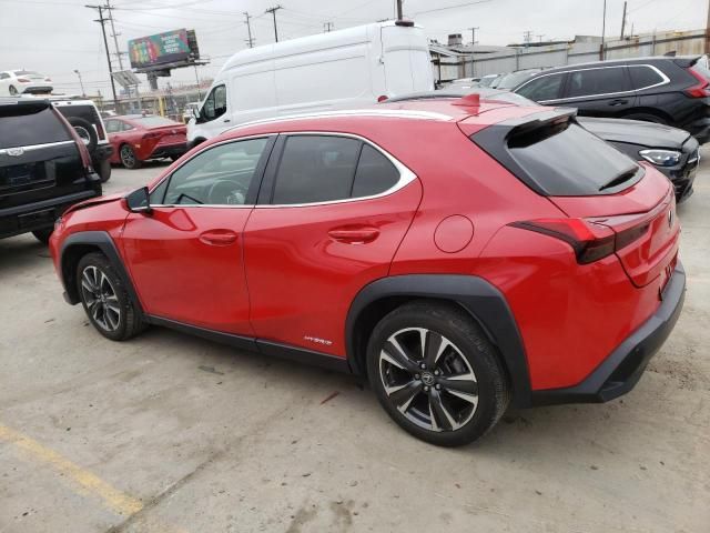 2019 Lexus UX 250H