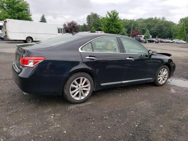 2010 Lexus ES 350