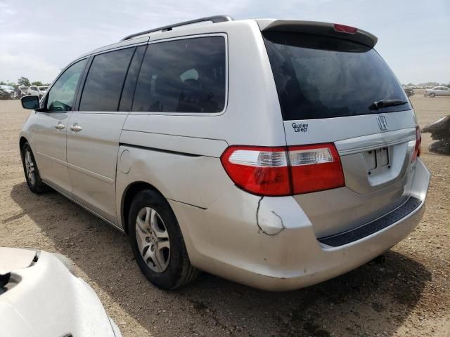 2005 Honda Odyssey EXL