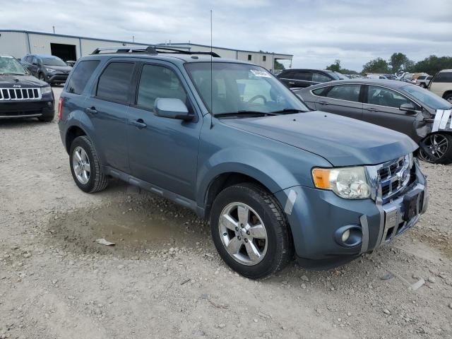 2011 Ford Escape Limited