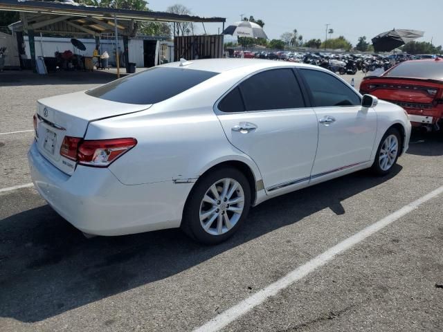 2010 Lexus ES 350