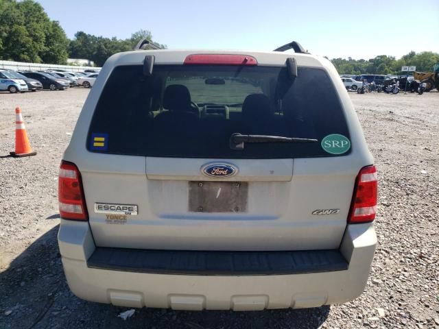 2008 Ford Escape XLT