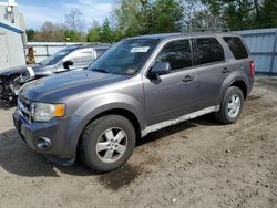 Salvage cars for sale from Copart Lyman, ME: 2009 Ford Escape XLT