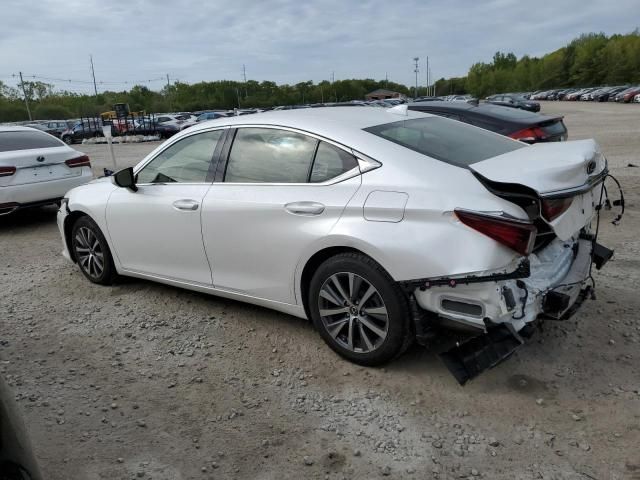 2019 Lexus ES 350