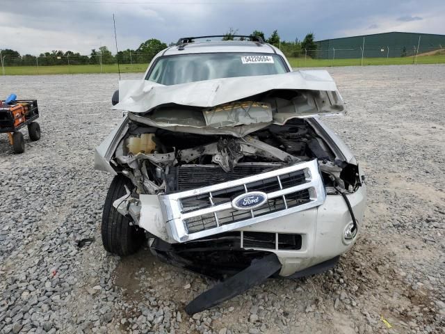 2009 Ford Escape XLT