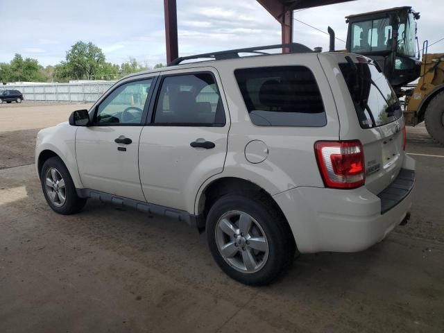 2011 Ford Escape XLT