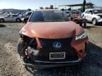 2019 Lexus UX 250H