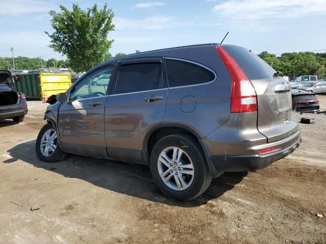 2010 Honda CR-V EXL