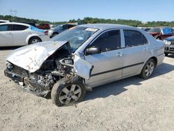 Salvage Cars with No Bids Yet For Sale at auction: 2005 Toyota Corolla CE