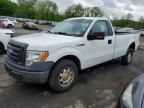 2010 Ford F150