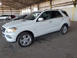 Mercedes-Benz ML 350 4matic salvage cars for sale: 2012 Mercedes-Benz ML 350 4matic