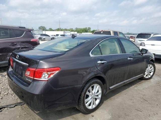 2011 Lexus ES 350