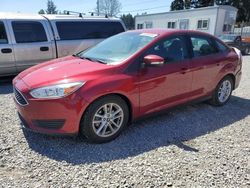 2016 Ford Focus SE for sale in Graham, WA