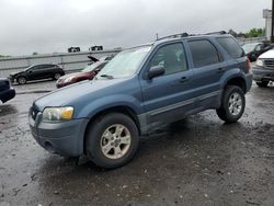 Carros salvage a la venta en subasta: 2005 Ford Escape XLT