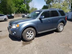 Ford Escape Vehiculos salvage en venta: 2010 Ford Escape Limited