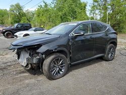 Salvage cars for sale from Copart Marlboro, NY: 2024 Lexus NX 350 Premium