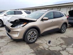 Ford Vehiculos salvage en venta: 2020 Ford Escape SEL