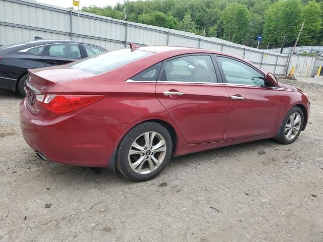 2011 Hyundai Sonata SE