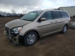 Honda salvage cars for sale: 2007 Honda Odyssey EXL