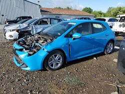 Salvage cars for sale at Columbus, OH auction: 2019 Toyota Corolla SE