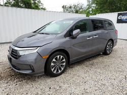 Honda salvage cars for sale: 2024 Honda Odyssey EXL