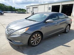 Salvage cars for sale at Gaston, SC auction: 2012 Hyundai Sonata SE