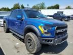 2017 Ford F150 Raptor