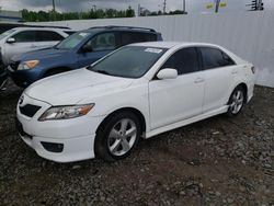 Salvage cars for sale from Copart Louisville, KY: 2010 Toyota Camry Base