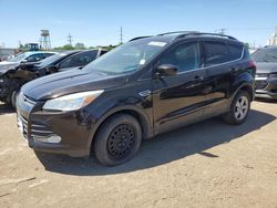 Salvage cars for sale at Chicago Heights, IL auction: 2013 Ford Escape SE