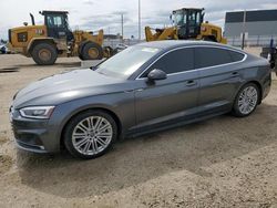 Salvage cars for sale at Nisku, AB auction: 2018 Audi A5 Prestige S-Line
