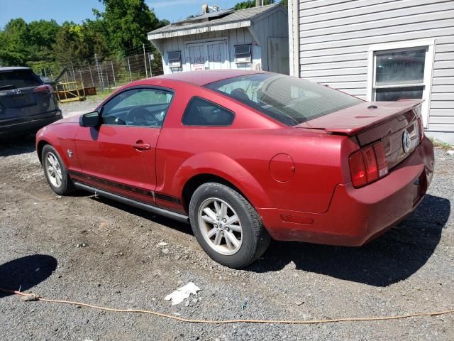 2009 Ford Mustang