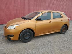 Toyota salvage cars for sale: 2009 Toyota Corolla Matrix