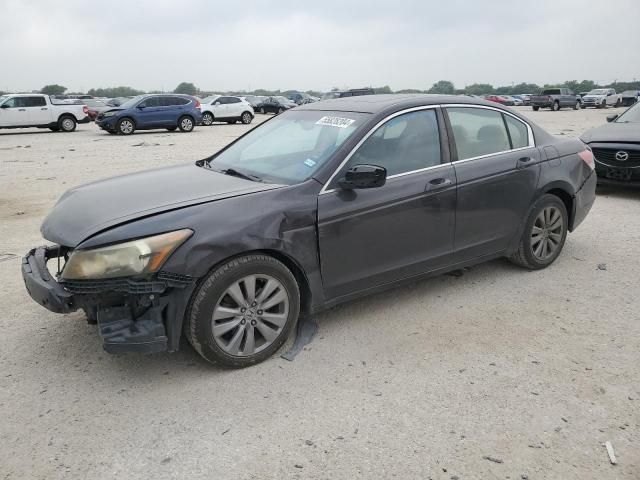 2011 Honda Accord EXL