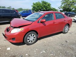 Salvage cars for sale at auction: 2010 Toyota Corolla Base