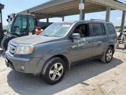 Salvage cars for sale at West Palm Beach, FL auction: 2011 Honda Pilot EXL