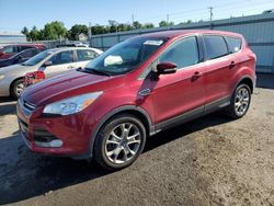 Salvage cars for sale from Copart Pennsburg, PA: 2013 Ford Escape SEL