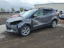 Salvage cars for sale from Copart Rocky View County, AB: 2013 Ford Escape SEL