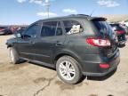 2010 Hyundai Santa FE SE