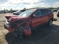 Salvage cars for sale at Indianapolis, IN auction: 2014 Ford Escape Titanium